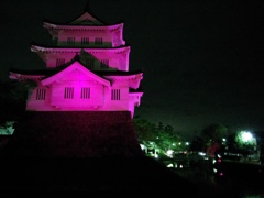2016/10/10_ピンクリボンの夜の忍城