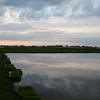 2016/06/26_水田の夕暮れ