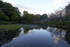 2015/11/03_岩槻城址公園