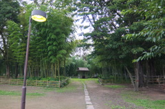 2014/07/06_竹林公園