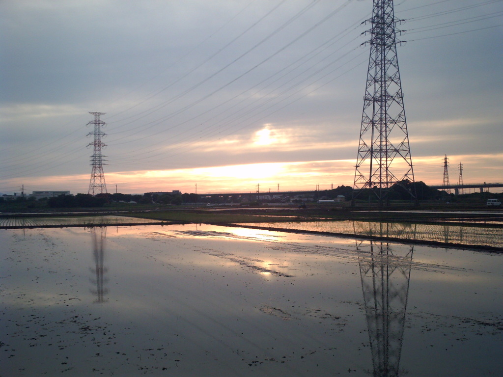 2015/05/31_水田の夕暮れ