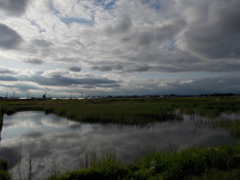 2017/05/14_溜め池に雲
