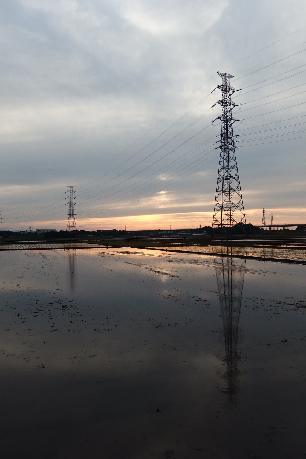 2015/05/31_水田の夕暮れ