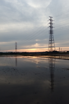 2015/05/31_水田の夕暮れ