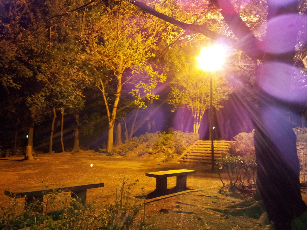 2014/04/12_氷川児童公園の夜桜