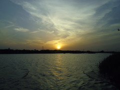 2016/05/07_伊佐沼の夕暮れ