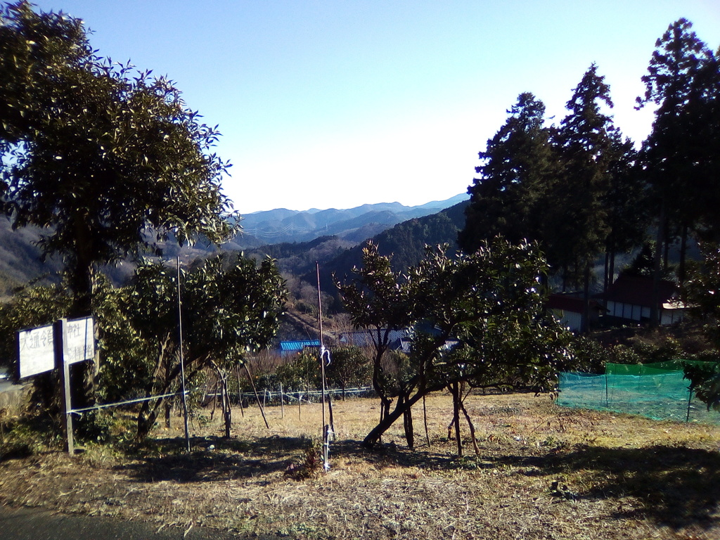 2019/01/14_大通領神社参拝路