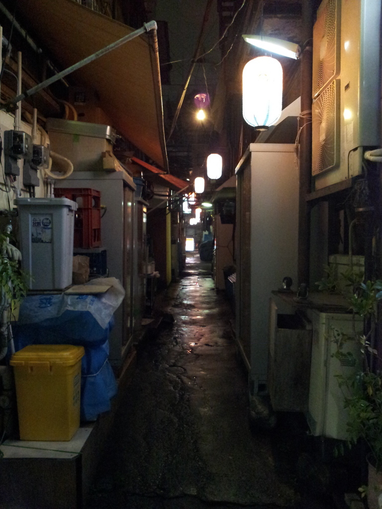 2014/04/21_夜の東上野コリアンタウン