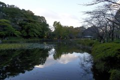 2015/11/03_岩槻城址公園