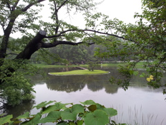 2016/07/17_高松公園 芝水園