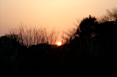 2015/03/22_夕日