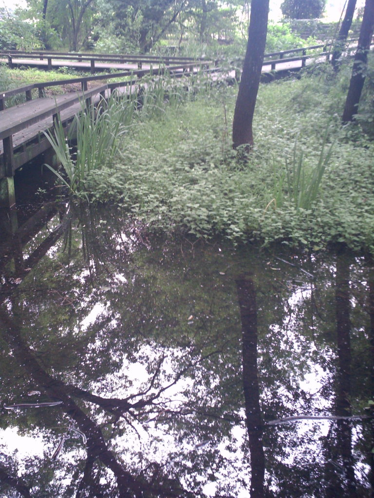 2015/07/05_伊奈町制施行記念公園