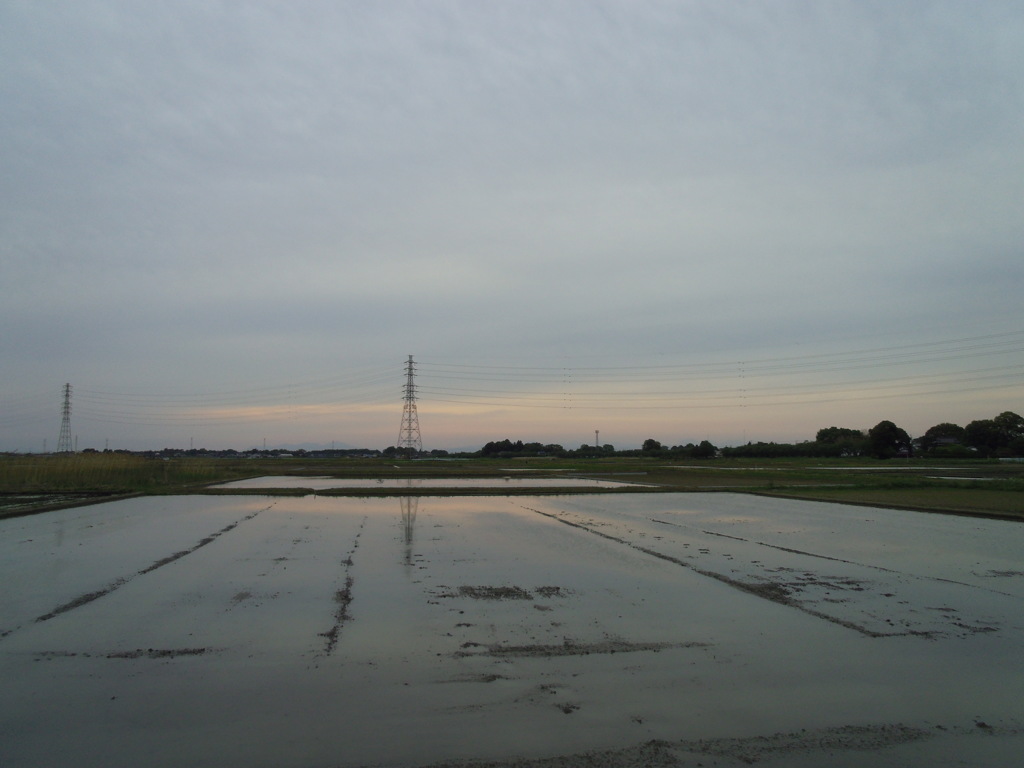 2017/05/03_水田の夕暮れ
