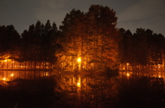 2014/11/02_夜の別所沼公園