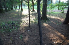 2015/05/24_夕暮れのゴルフ場