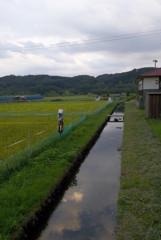 2016/09/10_夕暮れの巾着田