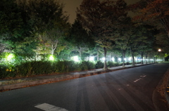 2015/10/31_夜の東部工業団地