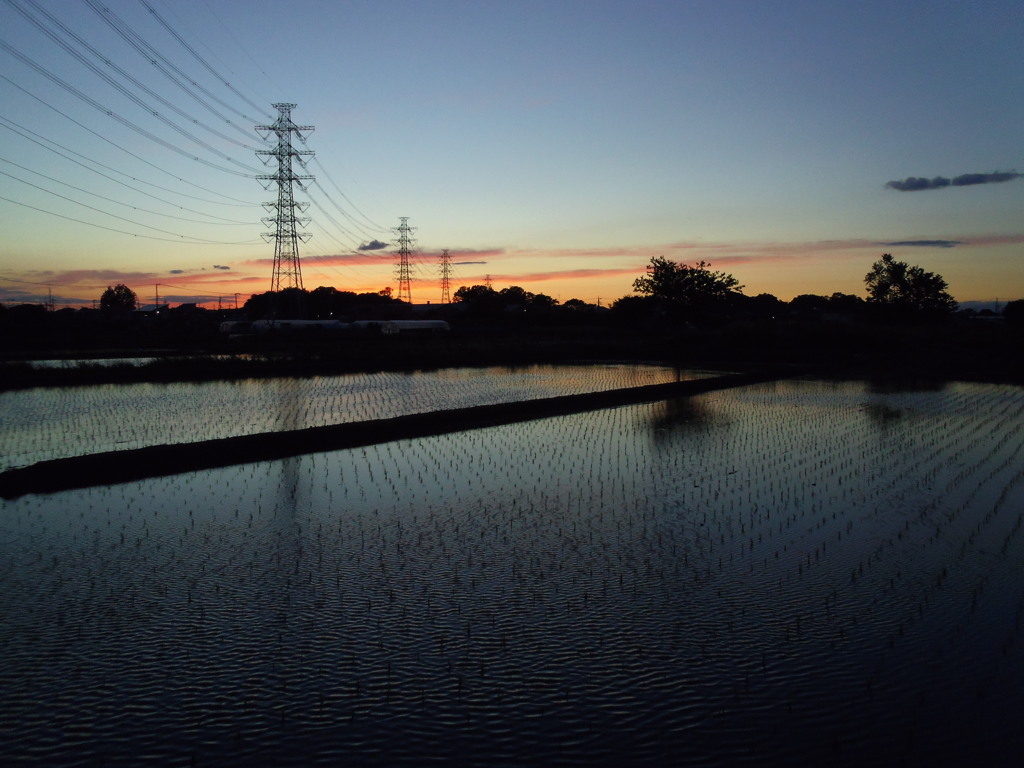 2017/06/03_水田の夕暮れ