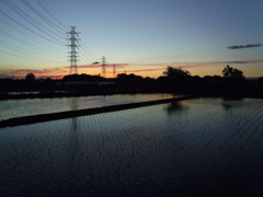 2017/06/03_水田の夕暮れ