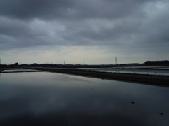 2017/05/27_水田の曇天