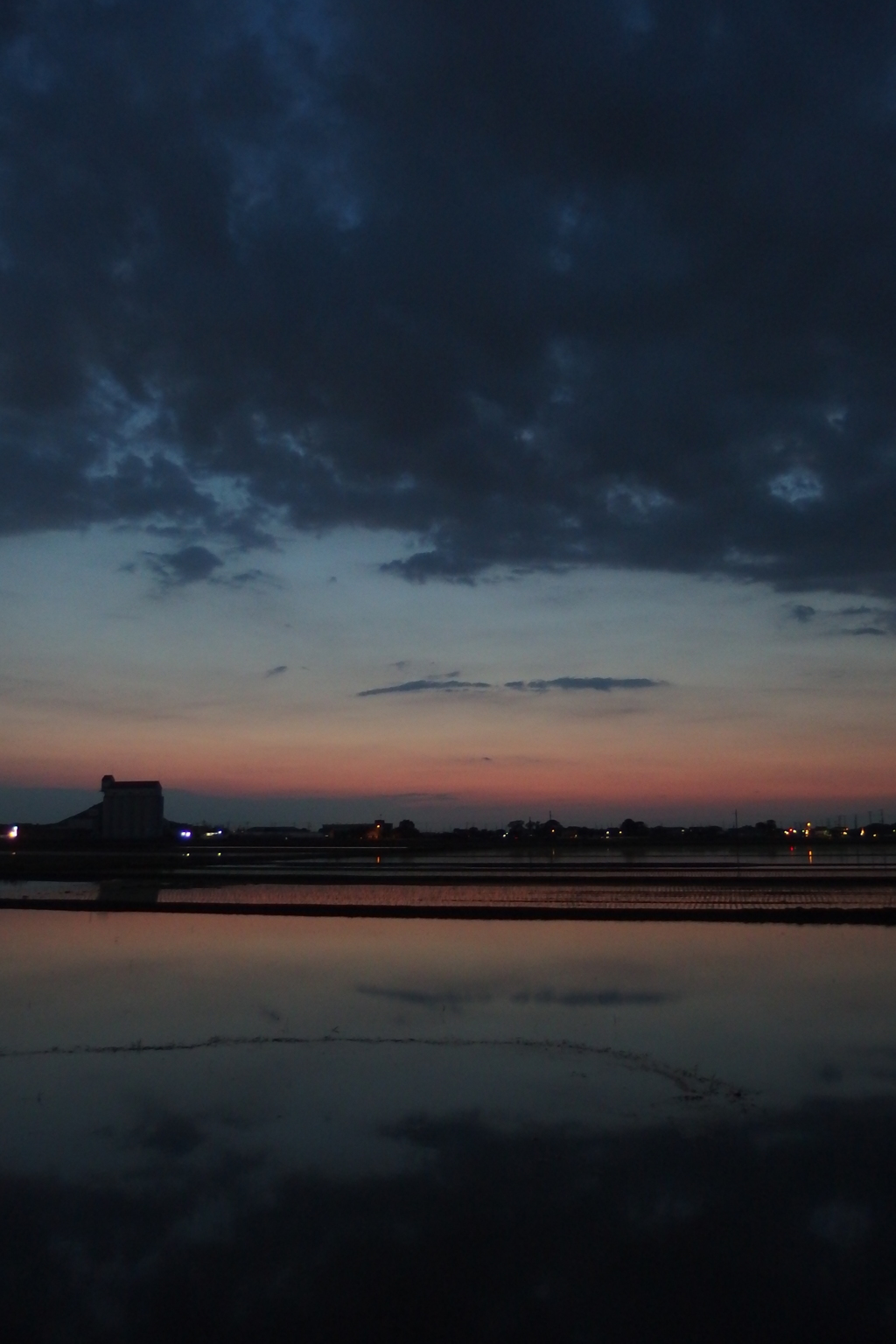 2016/06/05_水田の夕暮れ