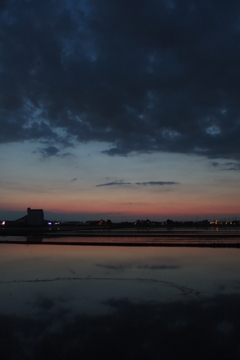 2016/06/05_水田の夕暮れ