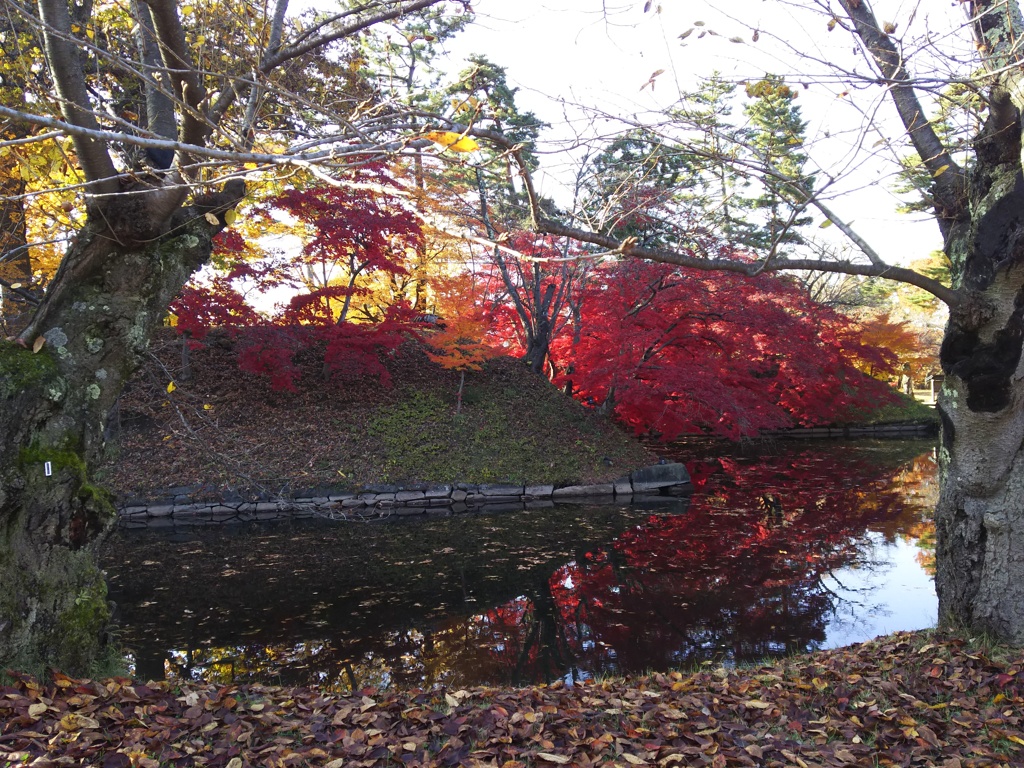 2016/11/14_弘前公園 内濠