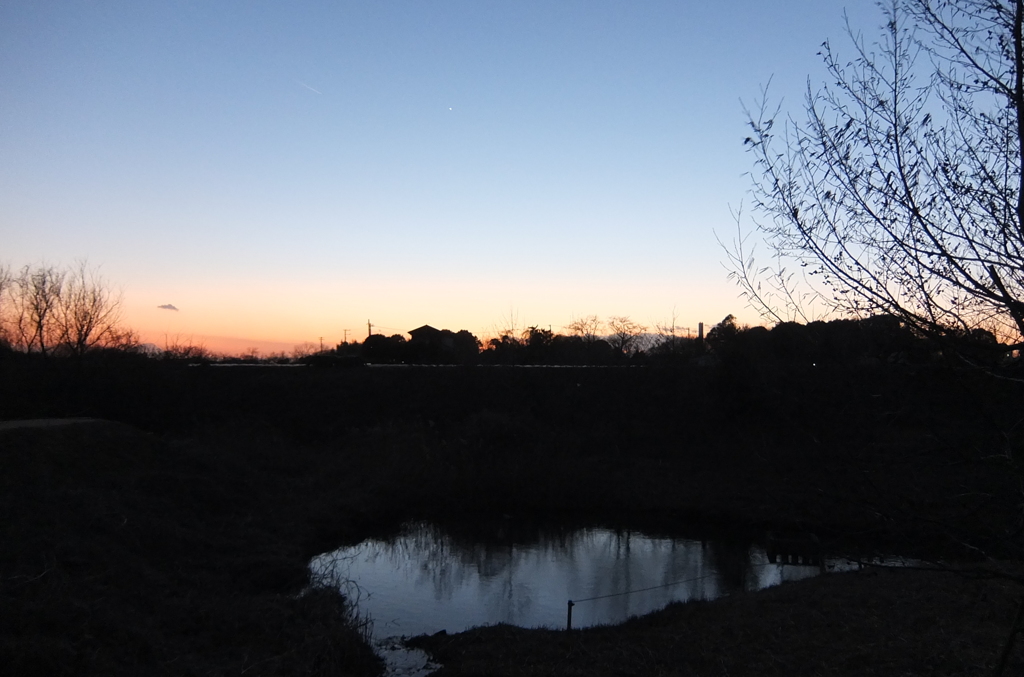 2015/02/15_夕暮れの秋葉の森総合公園