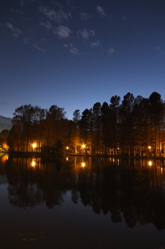 2014/12/14_夕暮れの別所沼公園
