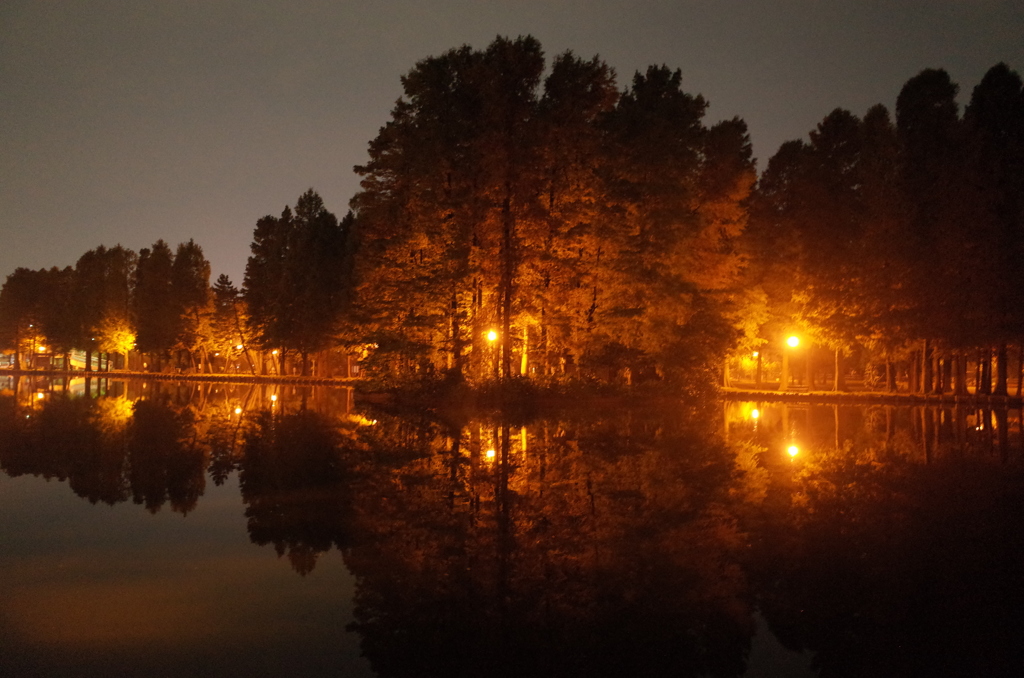 2014/11/02_夜の別所沼公園