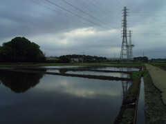 2017/05/27_水田の曇天