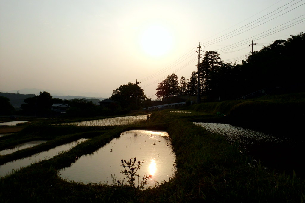 2014/05/25_夕暮れの寺坂棚田