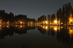 2014/11/24_夜の別所沼公園