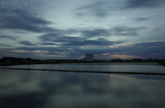 2015/06/21_水田の夕暮れ