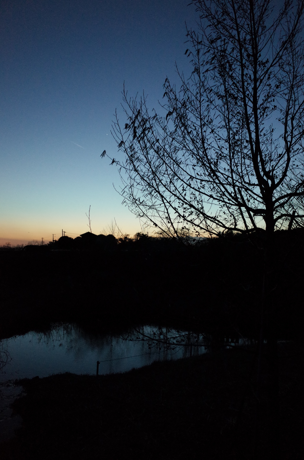 2015/02/15_夕暮れの秋葉の森総合公園