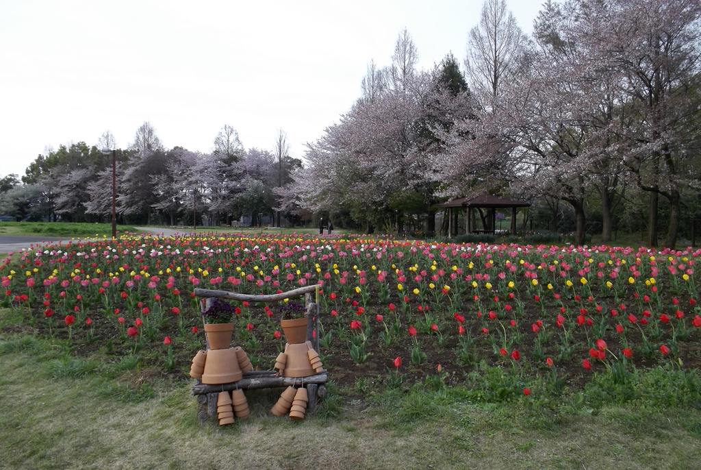 2016/04/09_花の丘農林公苑のチューリップ（と桜）