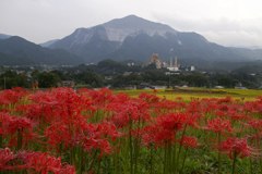 2015/09/21_寺坂棚田の彼岸花と武甲山