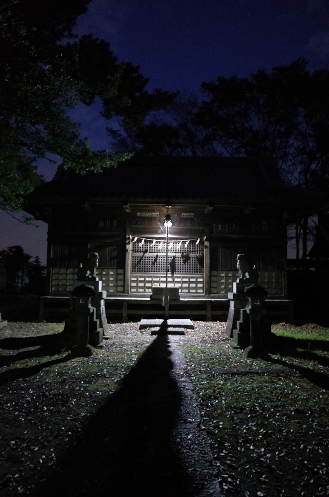 2014/11/23_夕暮れの氷川神社