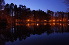 2014/12/14_夕暮れの別所沼公園