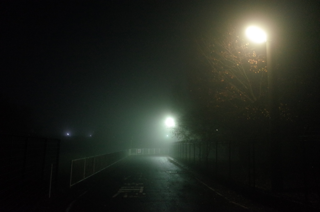 2014/11/29_霧の夜道