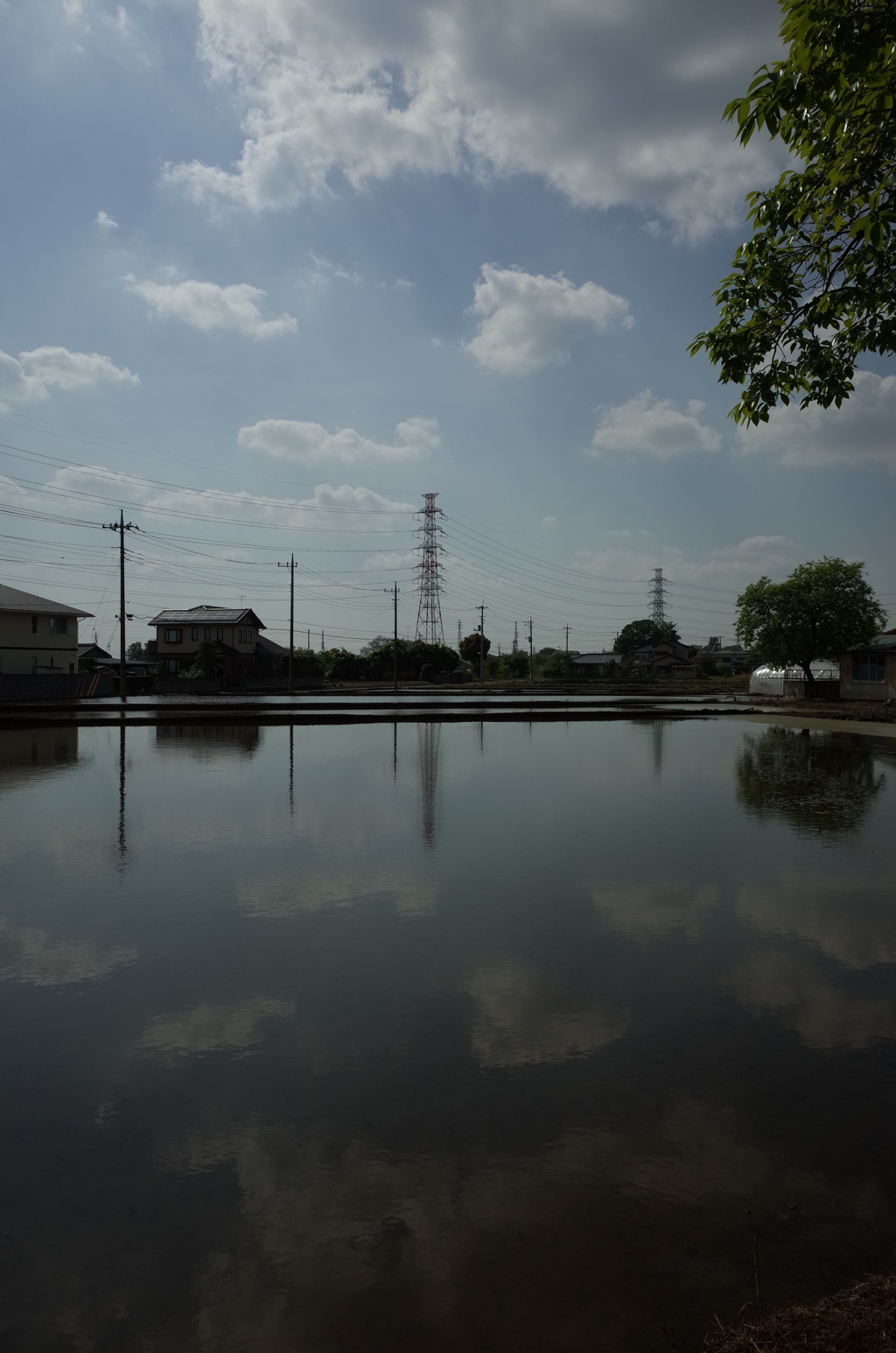 2015/04/29_水田に雲