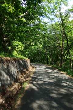 2015/05/04_林道