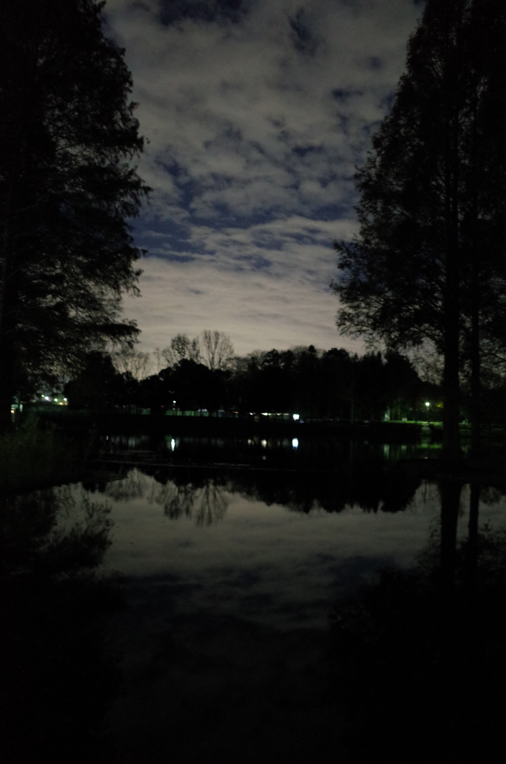 2014/12/06_夜の北本総合公園