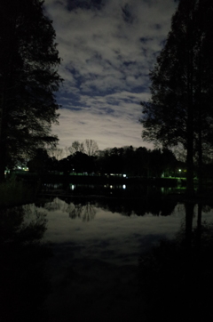 2014/12/06_夜の北本総合公園