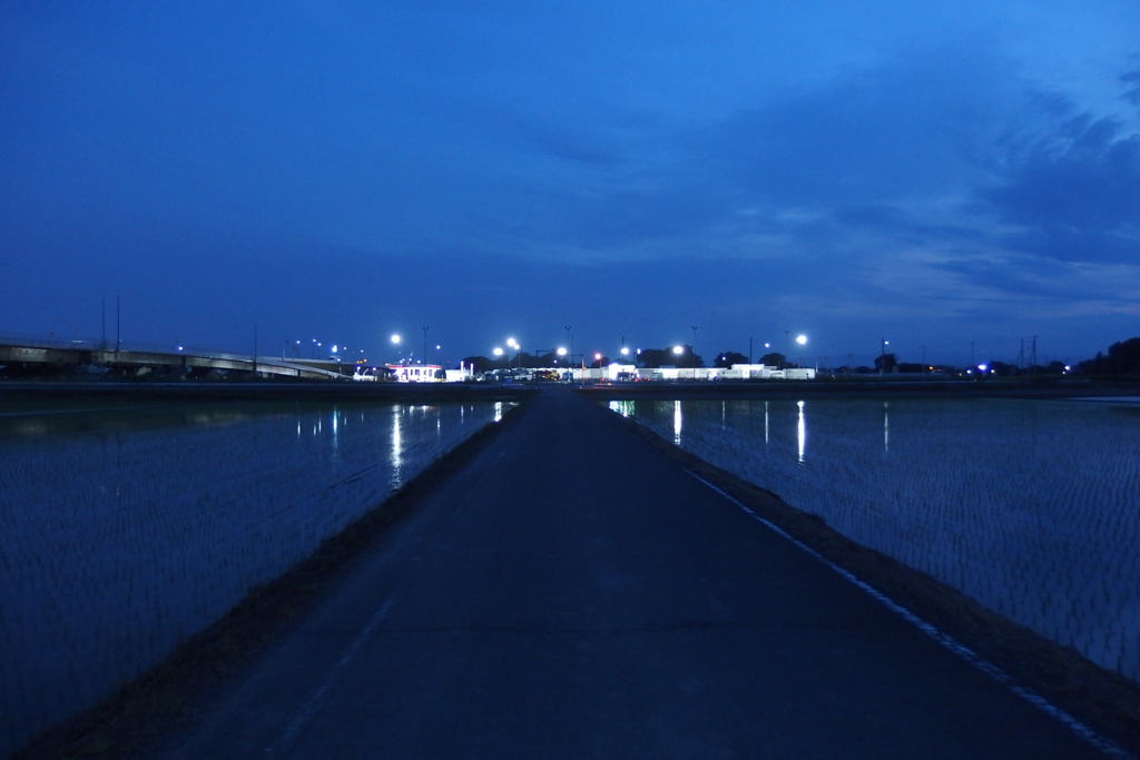 2016/06/11_水田の夕暮れ