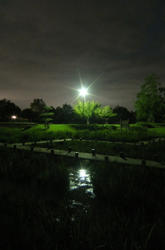 2015/10/04_夕暮れの平成の森公園