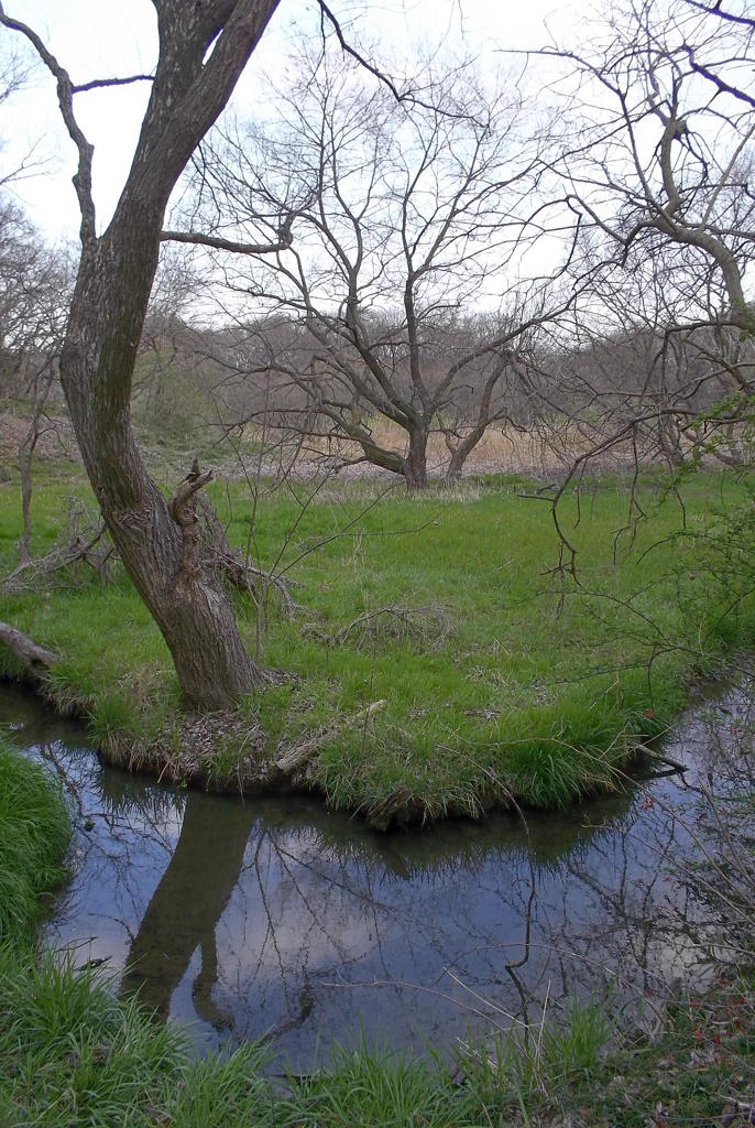 2016/03/26_北本自然観察公園