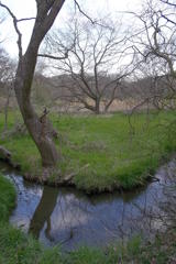 2016/03/26_北本自然観察公園