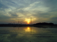 2017/05/21_水田の夕暮れ