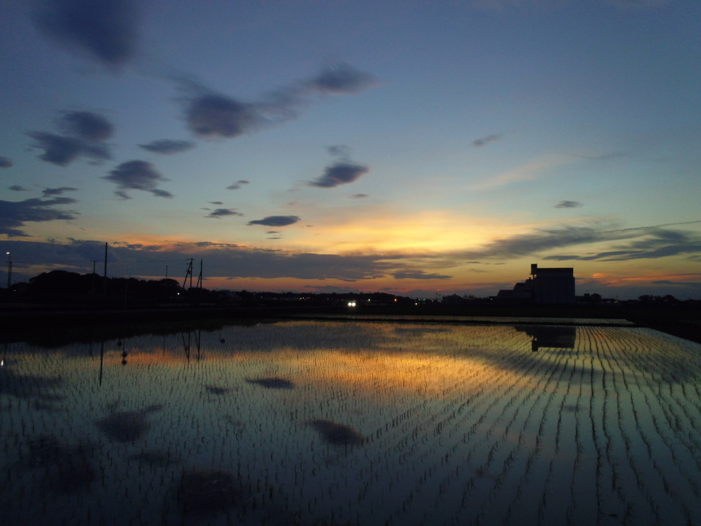 2017/07/02_水田の夕暮れ